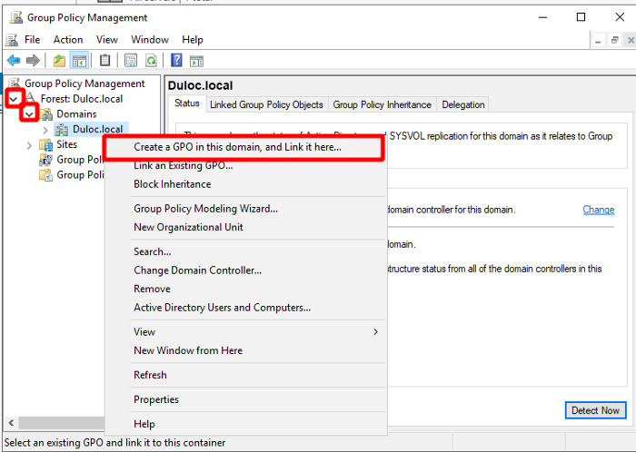 WINDOWS SERVER PERU