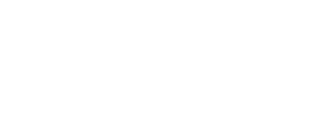 Logo Aduana 365 blanco Logo Aduana 365